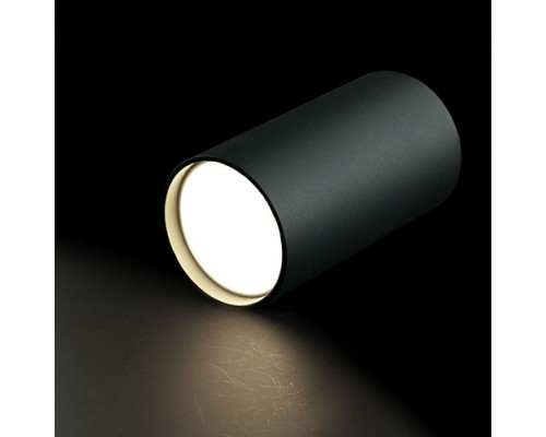 Купить Накладной светильник для натяжных потолков GU10 2101 BK 