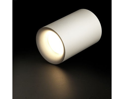 Купить Накладной светильник для натяжных потолков GU10 2104 WH 