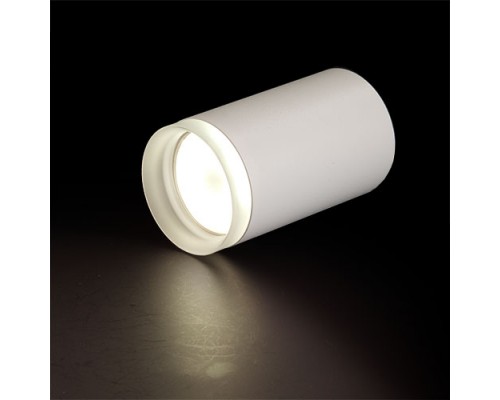 Купить Накладной светильник для натяжных потолков GU10 2109 WH 